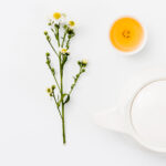 Βότανα για το στομάχι – Παλινδρόμηση