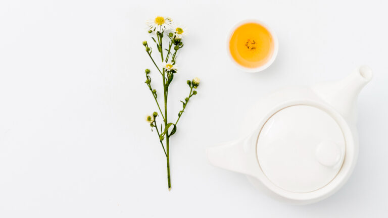 Βότανα για το στομάχι – Παλινδρόμηση